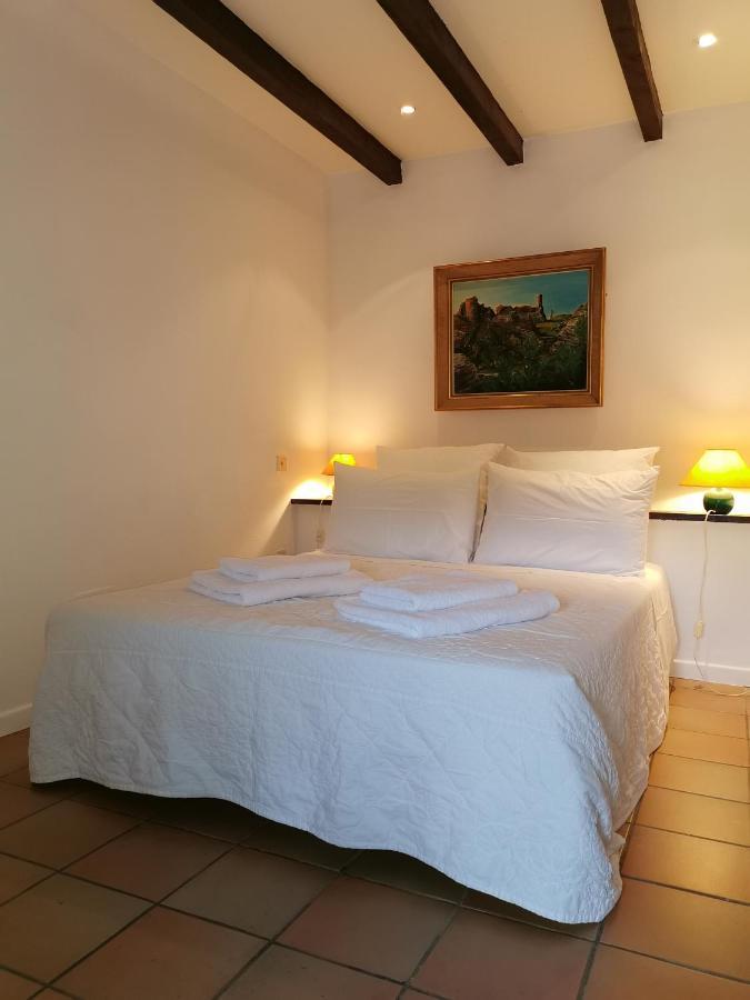 Le Cellier De Beaulieu, Au Pied De La Cite, Maison De Vacances Avec Climatisation Et Jacuzzi Carcassonne Ngoại thất bức ảnh