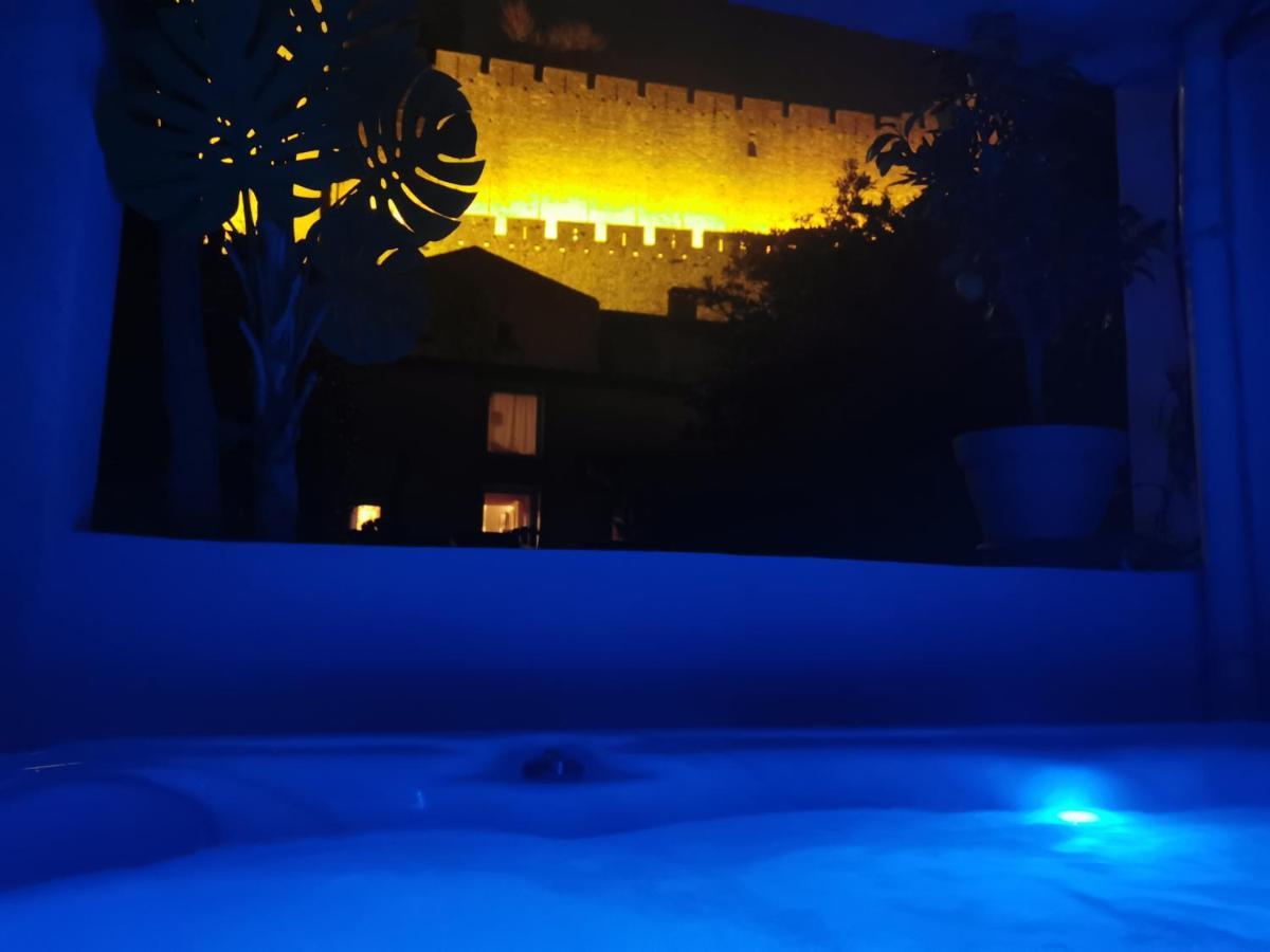 Le Cellier De Beaulieu, Au Pied De La Cite, Maison De Vacances Avec Climatisation Et Jacuzzi Carcassonne Ngoại thất bức ảnh